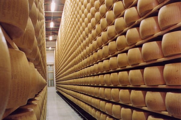La forme di parmigiano reggiano in stagionatura